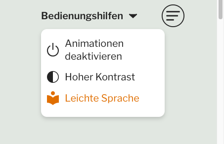 Screenshot eines Menüs mit Eingabehilfeeinstellungen mit Optionen zum Deaktivieren von Animationen, Aktivieren von hohem Kontrast und Auswählen einfacher Sprache.